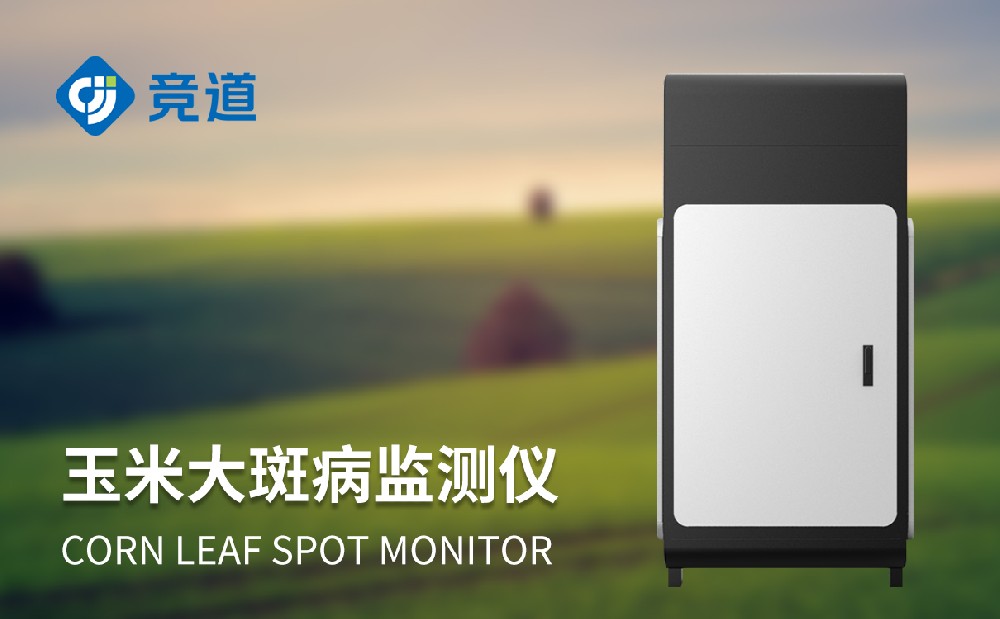 玉米大斑病防治新手段，玉米大斑病監(jiān)測儀提升病害治理能力