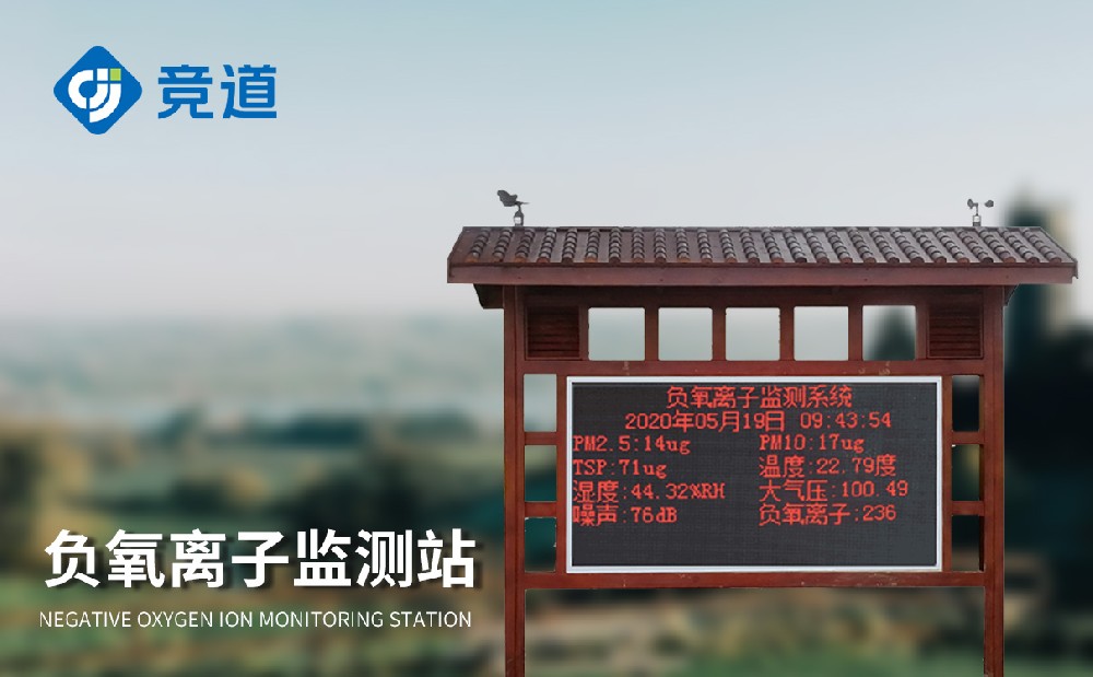 負氧離監(jiān)測儀
