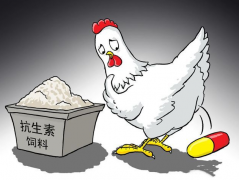 食品抗生素層出不窮，如何檢測？